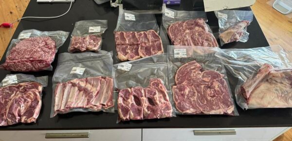 THE EXPRESS MEAT BOX 📦 - Image 3